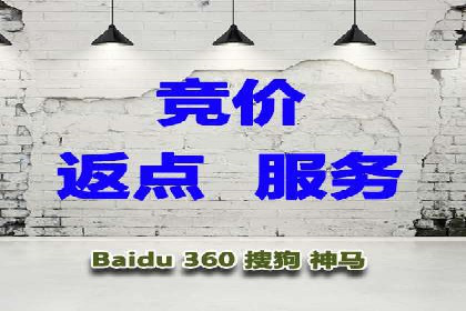 知名SEM运营公司实战案例解析
