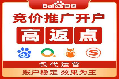 搜索开户返点政策下的成功案例分析